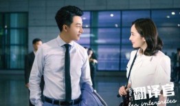 电视剧亲爱的翻译官在线观看,跨越语言的深情邂逅