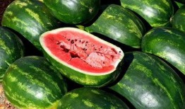 吃瓜娱乐素材视频,揭秘热门娱乐素材视频背后的故事