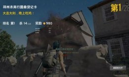 吃鸡十大爆料视频下载,下载视频背后的秘密与亮点