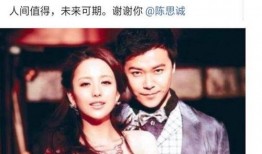 佟丽娅陈思诚最新爆料,揭秘婚姻背后的真相与抉择