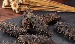 即食海参爆料视频大全图片,视频大全图片带你探秘海参美食世界