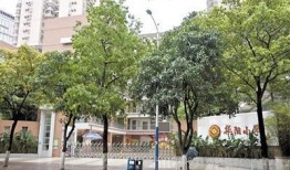 广州越秀爆料最新消息,揭秘事件背后真相