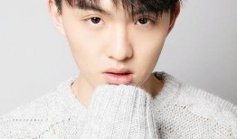 郑伟爆料视频播放大全,揭秘事件背后真相