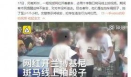 河南网红爆料新闻事件视频,揭秘背后真相