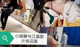 网红女博主爆料视频大全,揭秘娱乐圈幕后真相