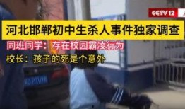 爆料河北学校事件视频曝光,真相揭开，引发社会关注