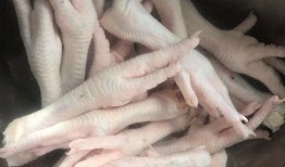 柠檬凤爪爆料视频大全集,酸辣开胃，美味瞬间呈现