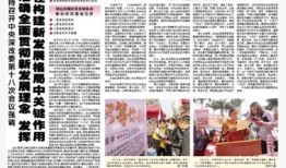 井研电视台报新闻爆料,重大新闻事件引发社会关注