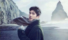 刘昊然娱乐爆料,揭秘明星幕后故事