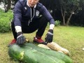曲阳大瓜爆料视频,独家爆料背后的惊人真相