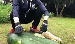 曲阳大瓜爆料视频,独家爆料背后的惊人真相