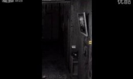 宫廷怨史手机在线观看