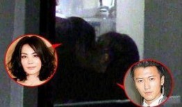 明星窗帘爆料视频下载大全,揭秘幕后精彩瞬间