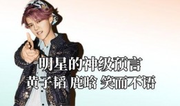 杨迪爆料黄子韬视频大全,视频大全揭秘不为人知的一面