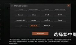 暗区突围国际版最新爆料,全新爆料揭示神秘游戏世界与激战玩法