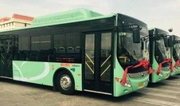 3路公交车爆料新闻报道,揭秘城市交通新动态