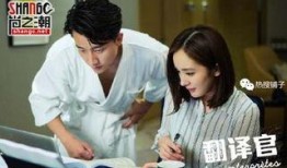 电视剧亲爱的翻译官在线观看,跨越语言的深情邂逅