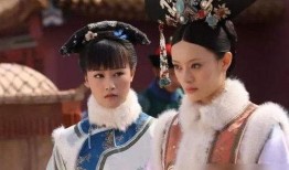 电视剧甄嬛传在线观看,宫廷权谋与情感纠葛的华丽演绎