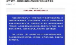辽宁最新爆料事件视频,视频揭露惊人真相