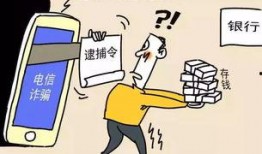 新型诈骗爆料案例视频大全,视频案例大盘点