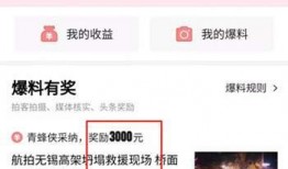 新闻爆料有多少奖励,揭秘新闻爆料丰厚奖励背后的真相
