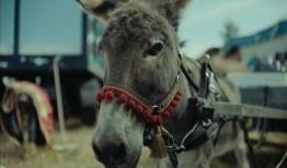 大驴影视爆料视频,揭秘热门影视幕后故事