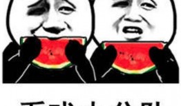 娱乐吃瓜酱网络烂梗,盘点那些让人笑到肚子疼的网络烂梗