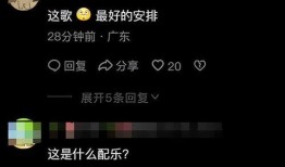 爆料视频的配乐叫什么,神秘配乐背后的故事