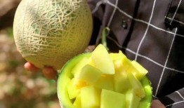 娱乐京圈吃瓜,揭秘娱乐圈背后的“吃瓜”故事