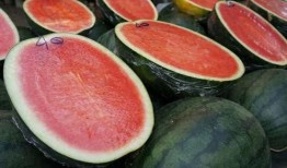 东北吃瓜网红是谁啊图片,揭秘网络红人的魅力与影响力”