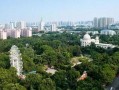 郑州碧沙岗最新爆料新闻,揭秘背后真相