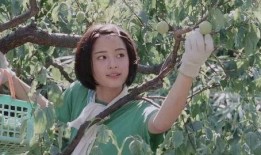 海街日记在线观看土豆,姐妹情深，治愈系日剧温馨呈现