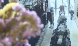 蒙面女生爆料视频大全集,揭秘娱乐圈幕后真相