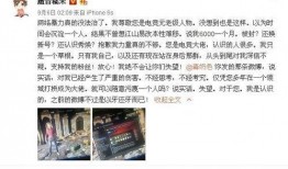 文峰集团爆料事件始末视频,真相与争议的交织