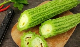 东北吃瓜网红是谁啊图片,揭秘网络红人的魅力与影响力”