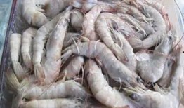 南美大白虾爆料视频下载,视频爆料背后的养殖秘密