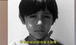 刘烨爆料飞机视频大全集,飞机视频大全集幕后故事