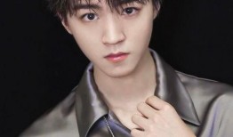 圈内爆料王俊凯鹿晗,揭秘明星背后的故事与友情纠葛”