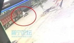 爆料女子被车压身亡视频,女子遭车压身亡，监控视频曝光惊心动魄一幕