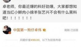 卓伟爆料赵丽颖黑料视频,真相与谣言的较量