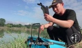 东莞野钓最新爆料,揭秘最新钓点与技巧分享