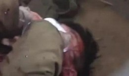 最新恐怖吃瓜爆料新闻视频,最新恐怖吃瓜爆料，视频揭露惊人真相！