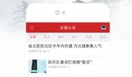 容县本地头条新闻爆料群,揭秘爆料群最新动态，聚焦民生热点