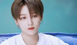 最新爆料刘雨昕,揭秘她背后的励志故事与辉煌成就