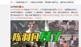 卓伟去年爆料视频大全集,揭秘娱乐圈风云变幻