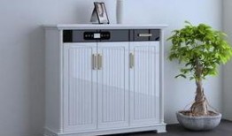 除臭鞋柜最新爆料视频,科技革新，告别鞋柜异味难题