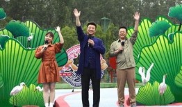 清风王者爆料视频大全最新,揭秘最新游戏动态与精彩瞬间