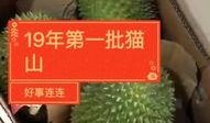 榴莲哥最新爆料