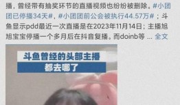 知情人爆料小团团视频,知情人爆料背后的故事