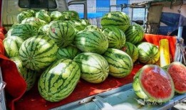 济宁网红吃瓜事件真相,真相背后的网络风波